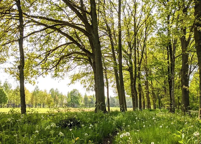 De Vinkenkamp Campingplatz Lieren