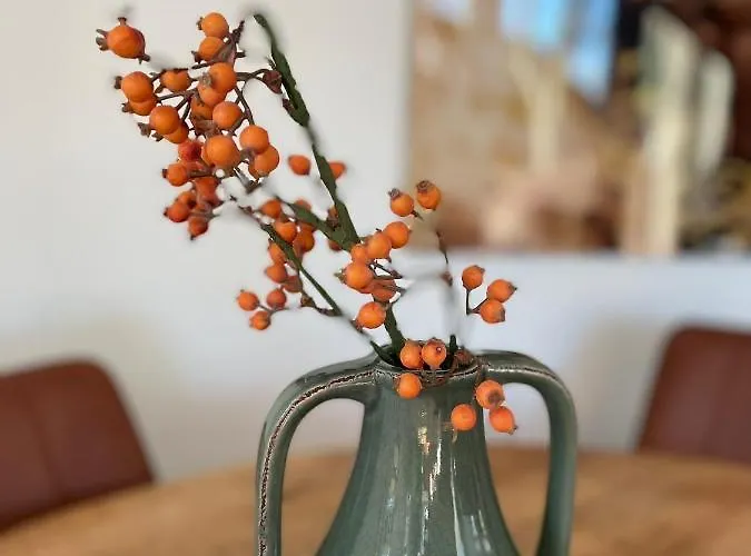 Κάμπινγκ De Vinkenkamp *