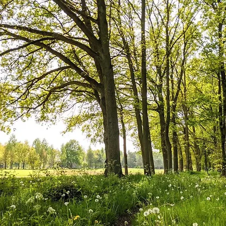 De Vinkenkamp مكان تخييم Lieren
